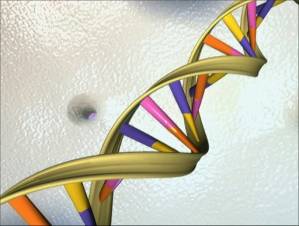 Fight over revolutionary genetic advance goes to court in US.jpg
