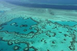 Great Barrier Reef a $42 billion asset 'too big to fail.jpg