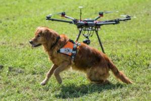Go fetch! Drones help Swiss rescue dogs find the missing.jpg