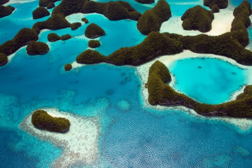 Palau plans sunscreen ban to save coral
