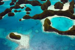 Palau plans sunscreen ban to save coral.jpg
