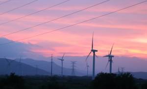 Wind farm 'predator' effect hits ecosystems study.jpg