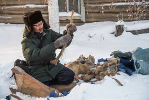 In Siberia, Chinese demand for prehistoric tusks fuels 'mammoth rush'.jpg