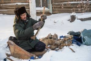 In Siberia, Chinese demand for prehistoric tusks fuels 'mammoth rush'.jpg In Siberia, Chinese demand for prehistoric tusks fuels 'mammoth rush'.jpg