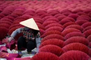 Vietnam's 'incense village' blazes pink ahead of lunar new year.jpg