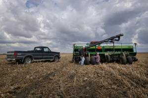Despite agreement, China purchase of US agriculture lags.jpg Despite agreement, China purchase of US agriculture lags.jpg