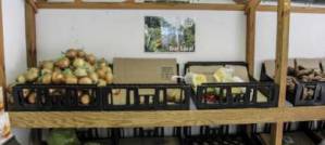 Shopping a daily puzzle on remote St Helena Shopping a daily puzzle on remote St Helena