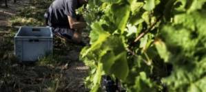 How will climate change affect your livelihood? How will climate change affect your livelihood?