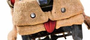 Dumb and Dumber To Dumb and Dumber To