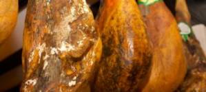 Should we stop eating meat? Should we stop eating meat?