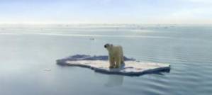 Obama Tries to Mobilise America On Climate Obama Tries to Mobilise America On Climate