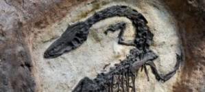 Creationism - The Museum Creationism - The Museum