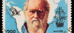 Charles Darwin art Charles Darwin art