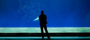 An interview with an aquarist, An interview with an aquarist,