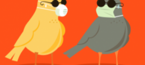 Is Bird Flu Back? Is Bird Flu Back?