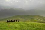 Rolling Shagai Rolling Shagai