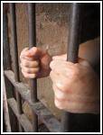 New Zealand SAS Concerned at Prisoner Treatment New Zealand SAS Concerned at Prisoner Treatment