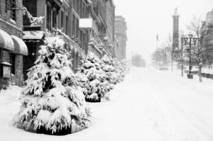 iStock_000004895331XSmall.jpg