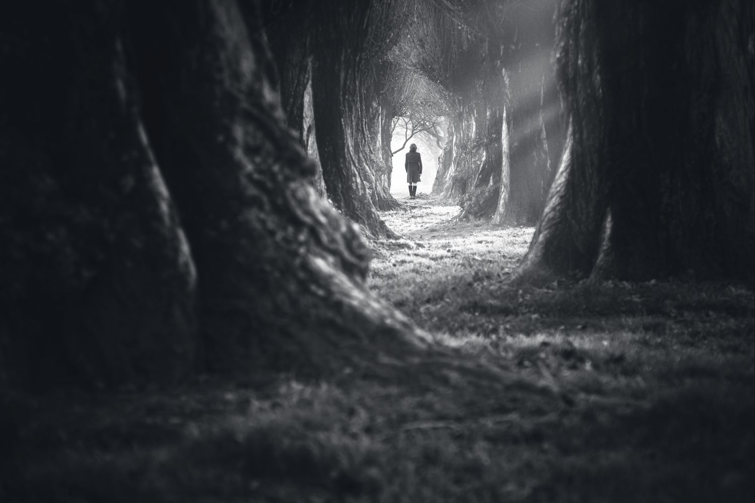 Why do we love ghost stories?