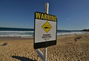 Shark fears cancel elite surf competition in Australia.jpg Shark fears cancel elite surf competition in Australia.jpg