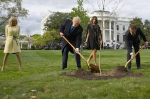 Trump and Macron planted a tree but where did it go.jpg