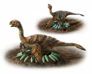 How does a one-tonne dino hatch its eggs.jpg
