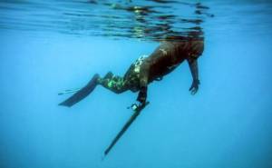 Lebanon's spearfishers fight to preserve stocks.jpg