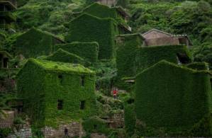 Mother Nature runs wild on China's emerald isle.jpg