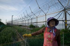 Hope and indifference in the shadows of Korean DMZ.jpg