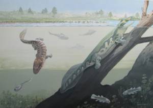 Tetrapod fossil discovery in S. Africa dispels tropical myth.jpg