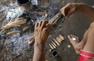 Thieves steal ancient arrow poison from Dutch museum.jpg