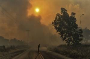 Fires sweep much of Europe as countries swelter in the heat.jpg