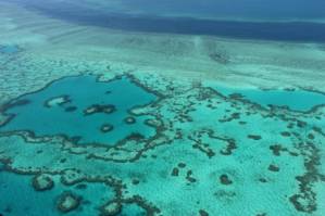 It's not that bad! Science, tourism clash on Great Barrier Reef.jpg