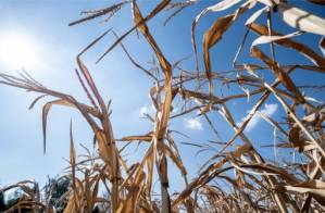 UN report confronts nations with tough choices on climate.jpg UN report confronts nations with tough choices on climate.jpg