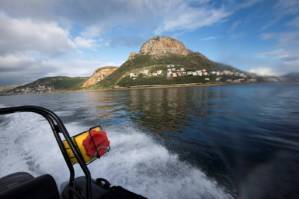 S.Africa divers risk all to poach marine delicacies for China diners.jpg