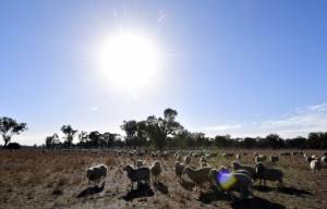 'Big dry' drags on as Australia sets up drought-proof fund.jpg