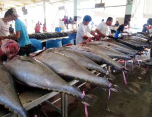 Pacific nations resist US push to lift tuna quota.jpg