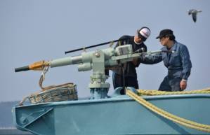Japan announces IWC withdrawal, will resume commercial whaling.jpg