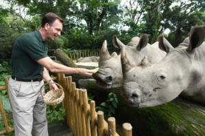 Singapore eco-tourism plan sparks squawks of protest.jpg