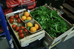 Human diet causing 'catastrophic' damage to planet study.jpg