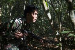 Thai forest rangers train to tackle wildlife crime.jpg