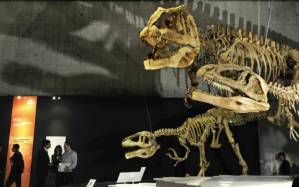 Were dinosaurs killed off by asteroid or volcanoes.jpg