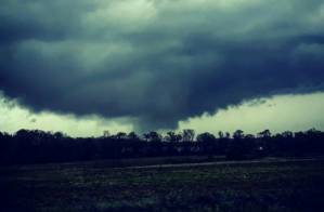 Tornadoes leave swath of destruction in Alabama, killing 23.jpg