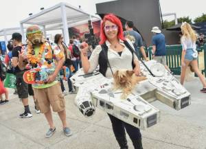 Comic-Con hits 50.jpg