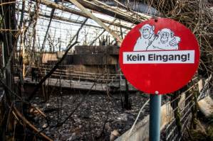 Mother and daughters investigated over German zoo fire.jpg
