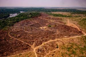 Amazon deforestation for January hits record.jpg