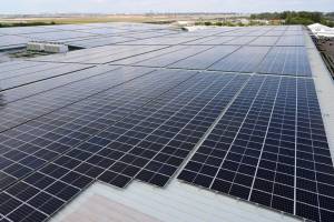 Aviation industry tries to go green.jpg