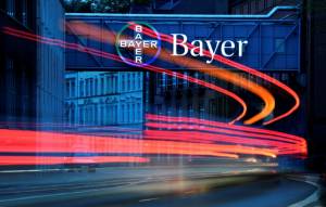 US peach farmer wins $265 mln damages over Bayer, BASF herbicide.jpg