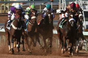 Saudi Arabia to host world's richest horse race.jpg