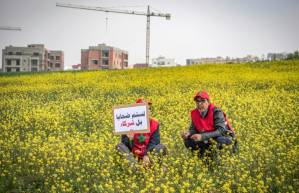 real-estate swindle.jpg